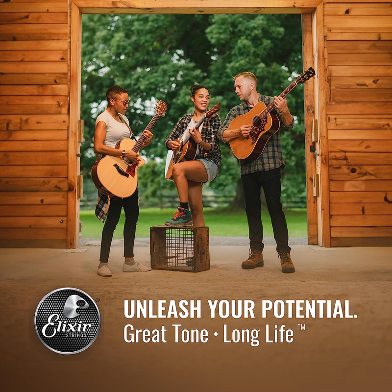 Elixir 11002 Nanoweb Coated 80/20 Bronze Acoustic Guitar Strings gauges 10-47 AN