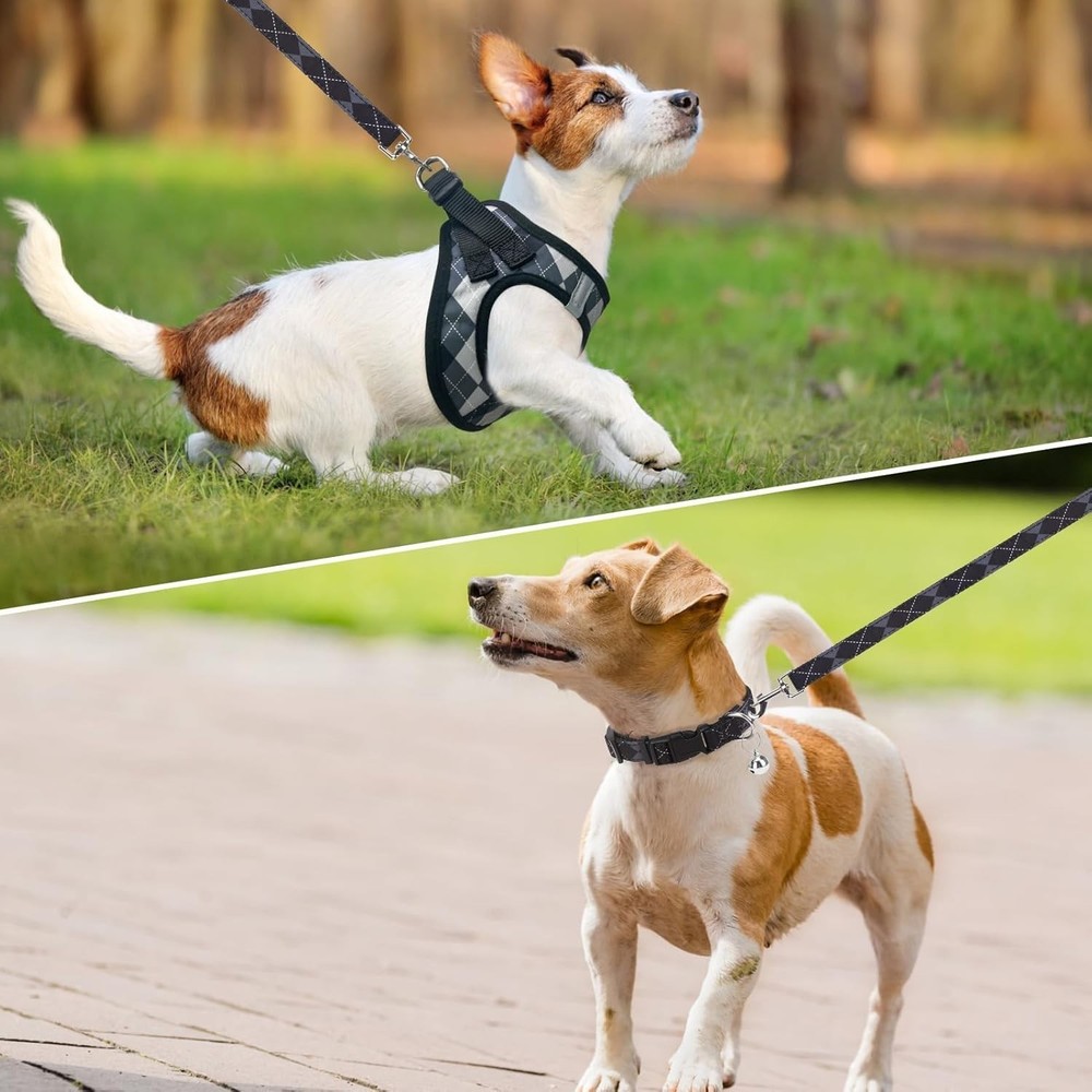 Small Dog Harness & Leash Collar Set Step in No Pull Soft Mesh Dog Harnesses