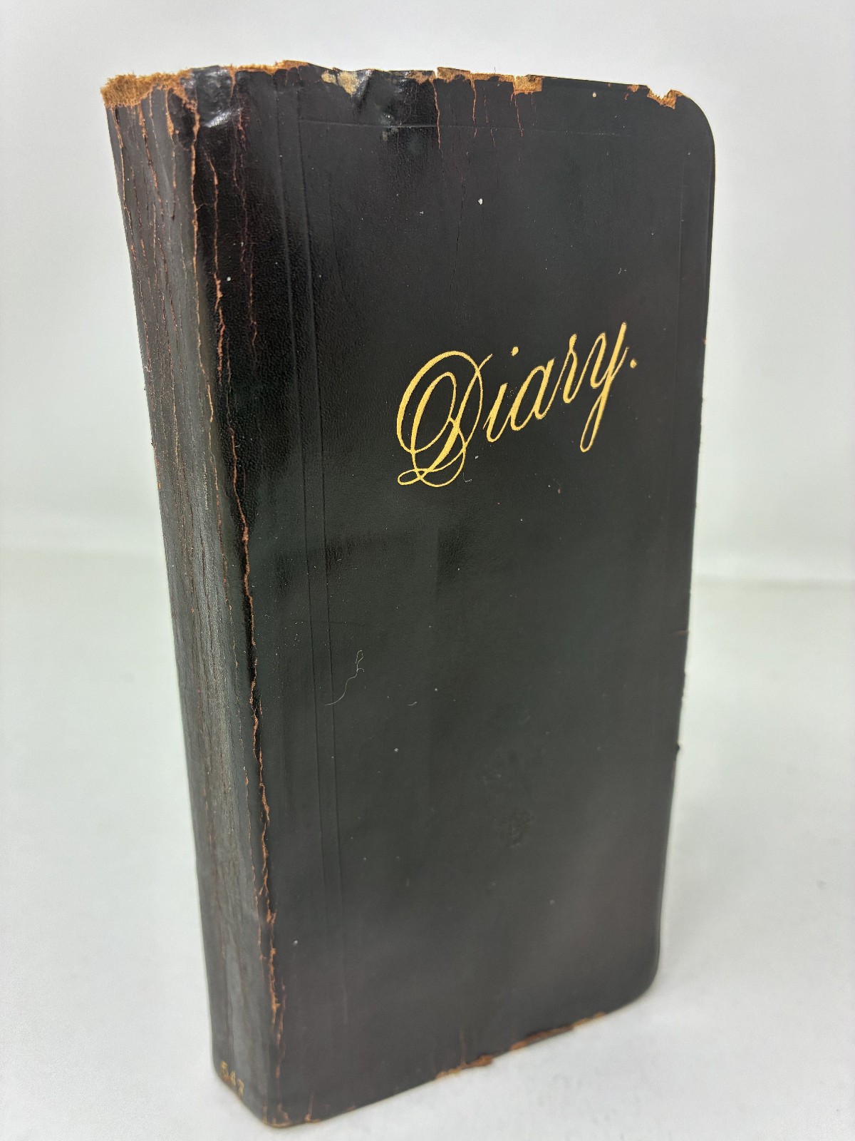 1900 Victorian Woman Wife & Mother Handwritten Diary with Her Life Memorial!