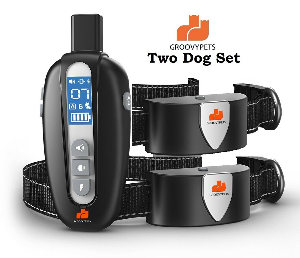 Remote Training Shock Collar Waterproof Trainer for Two Small Medium Large Dog