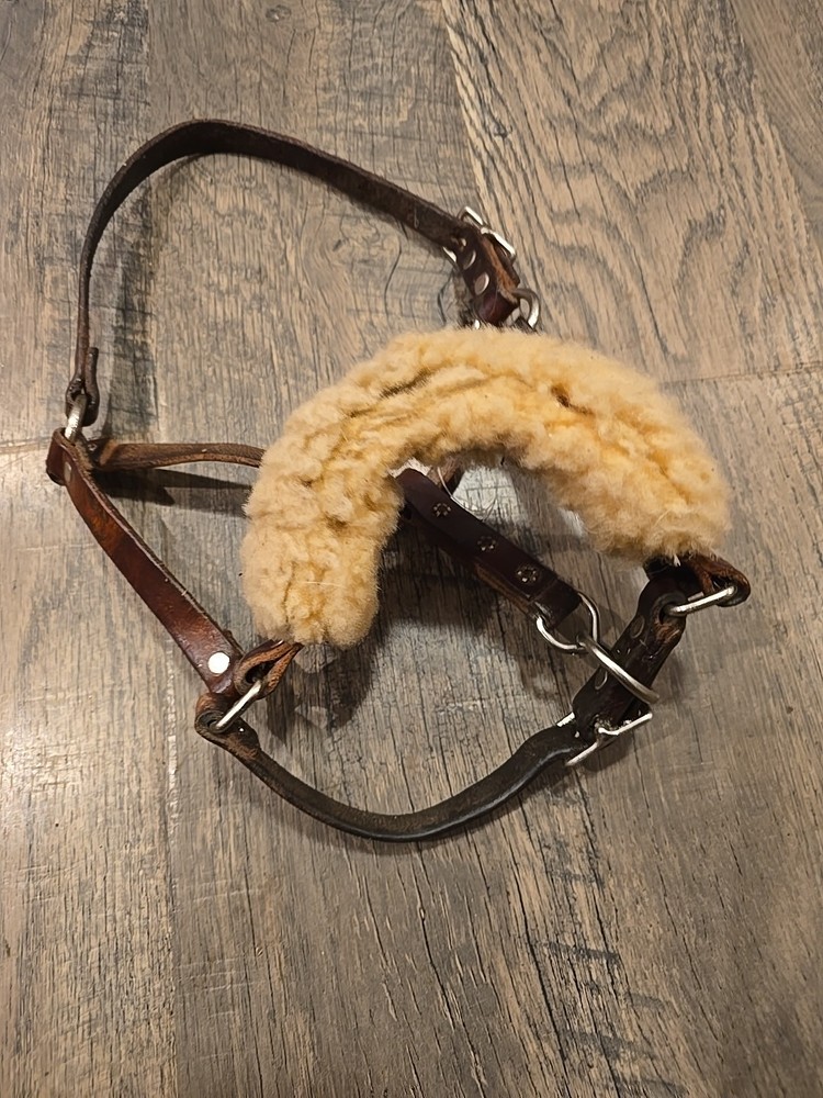 Horse Halter Weanling Size