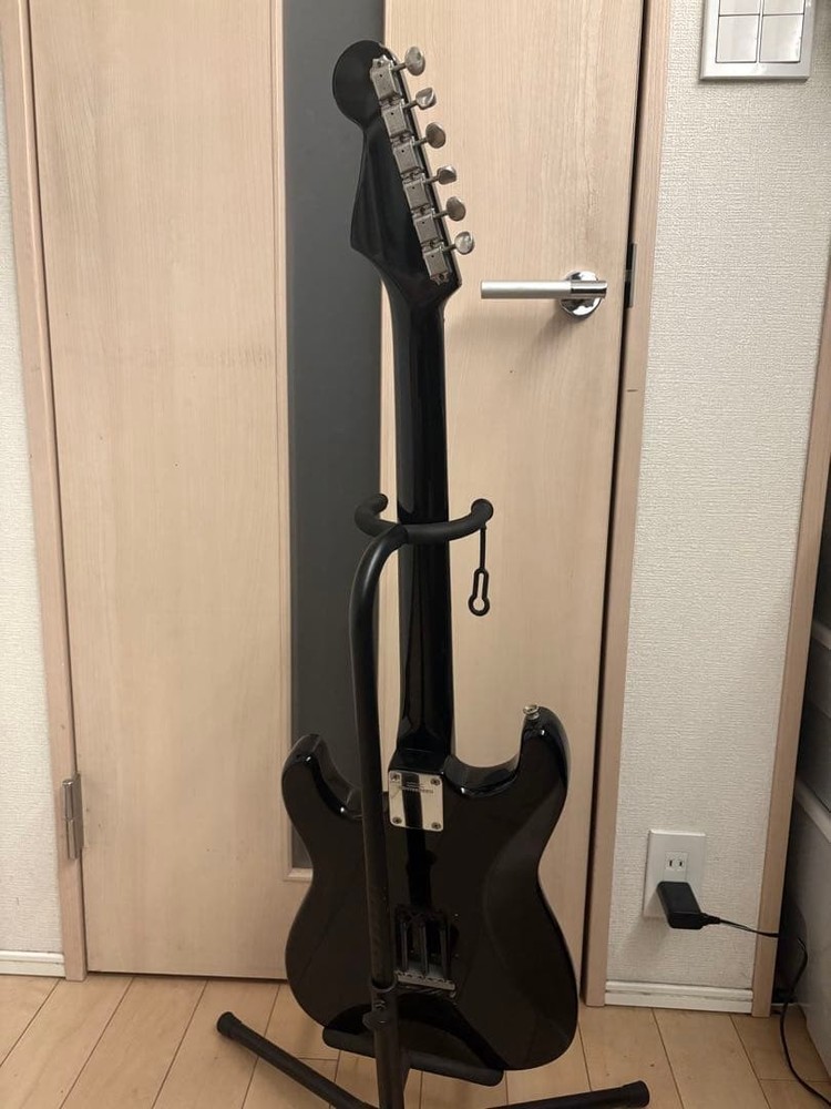 FERNANDES THE FUNCTION Black Safe Packing!