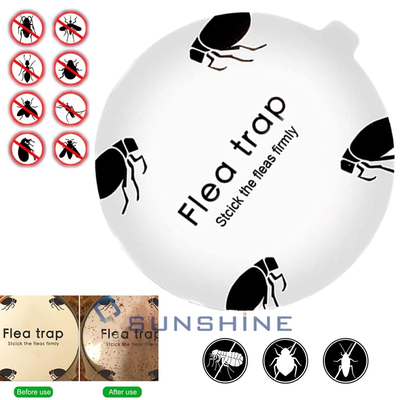 5 Flea Trap Refill Sticky Discs Replacement Glue Bug Fly Insects Catcher Boards