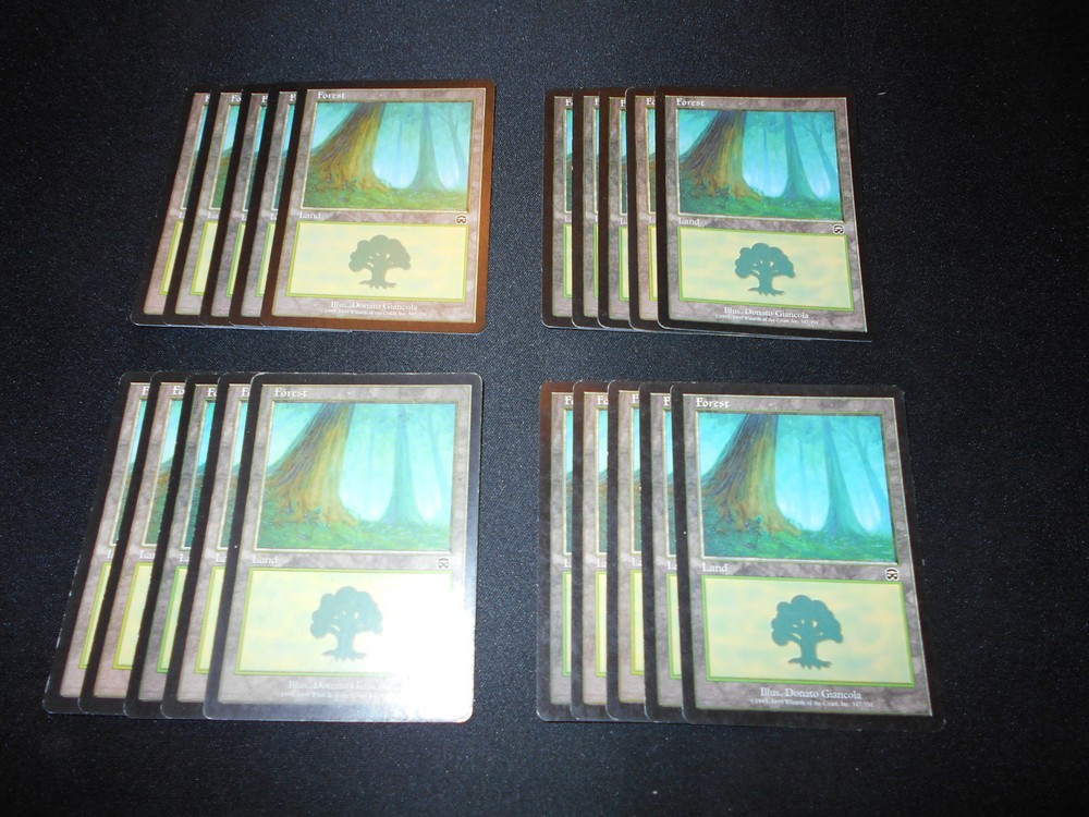 20 Basic Land #347 - SAME ART - Forest - Mercadian Masques-SP/NM- Magic MTG FTG
