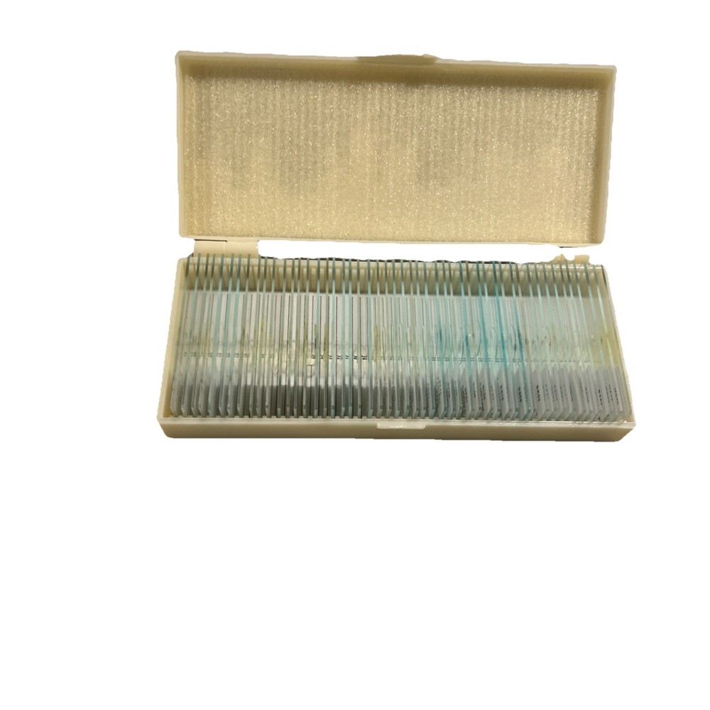 Binocular compound microscope M 82ESCO Max