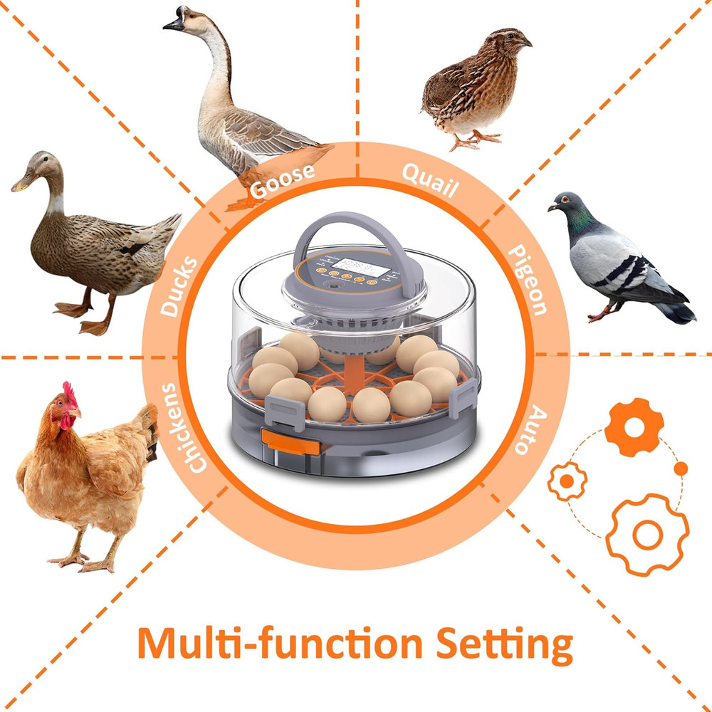 12 Egg Incubator with Automatic Egg Turning and Humidity Control, Intelligent Eg
