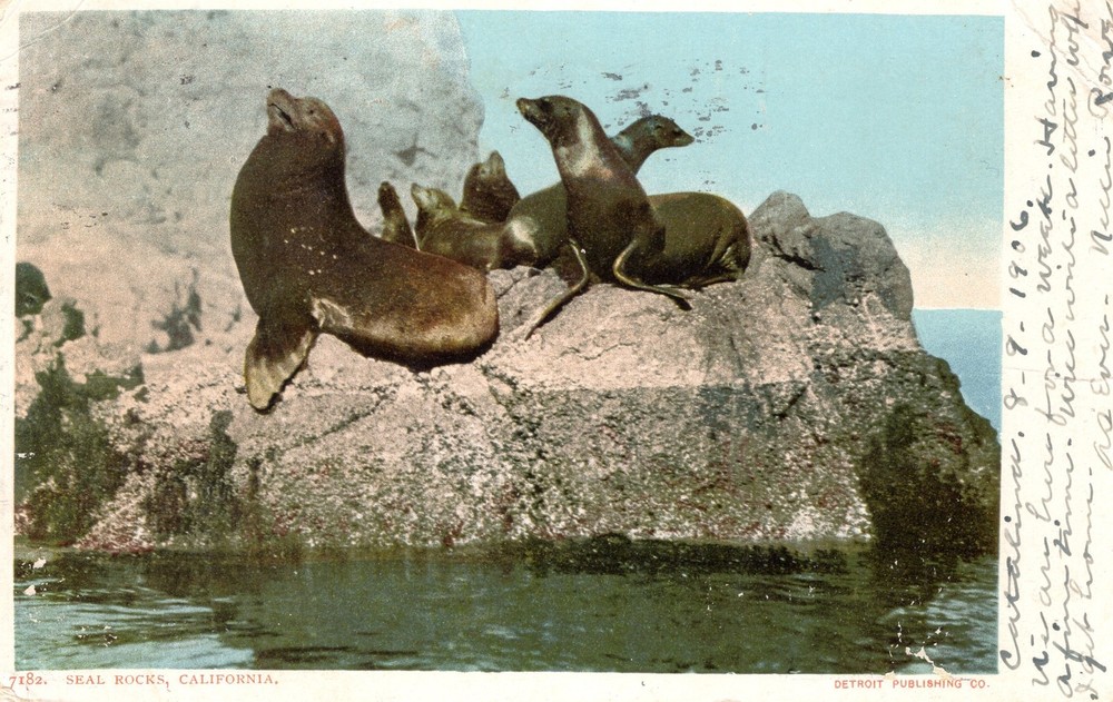 SEAL ROCKS, CA  -  PC7414