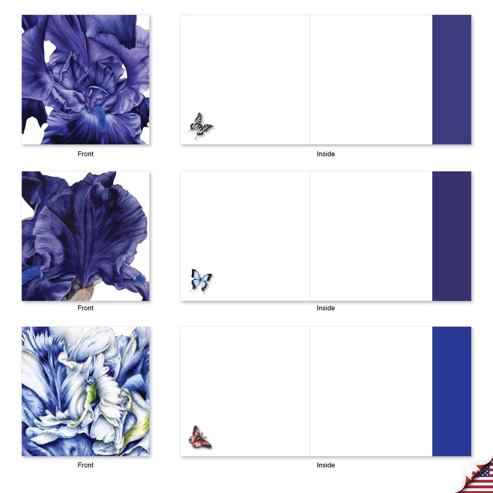 10 Assorted All Occasion Blank Note Cards Pack - Iridescent Iris