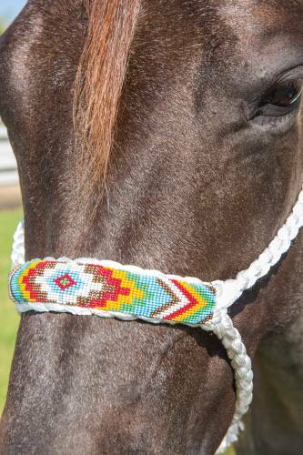 Professional's Choice Cowboy Braided Rope Halter