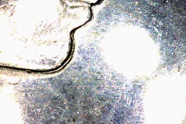 1968 Canada 50 Cents Unc. Variety Double Queen