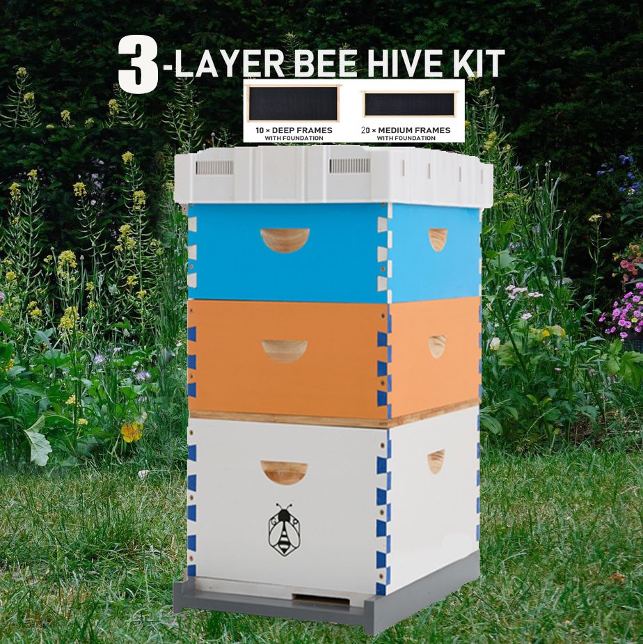 3 Layer Bee Hive Langstroth Kit 10 Deep & 20 Medium Frames Painting Baked finish