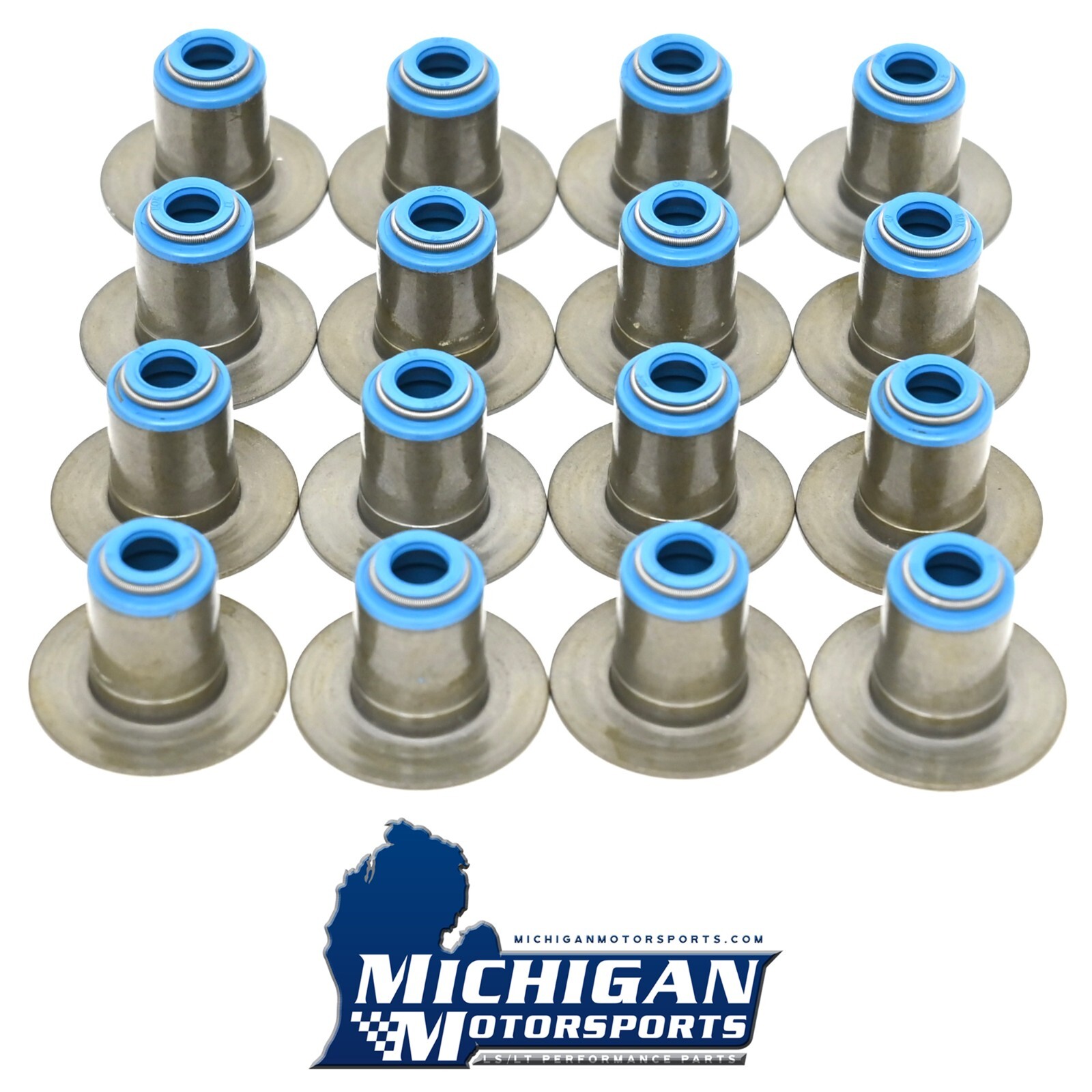 LS Dual Valve Seals & Seat for Aftermarket Dual Springs 5.3 5.7 6.0 6.2 LS1 LS3