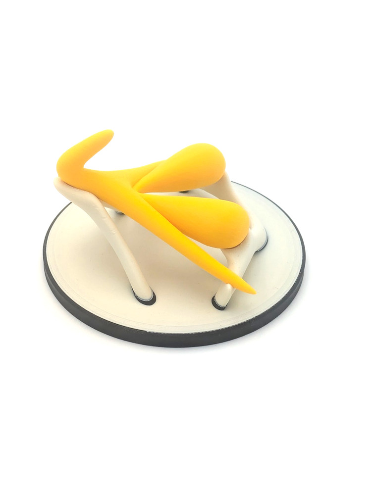 Educational Clitoris Anatomy Model with Stand – Yellow | Teaching Aid