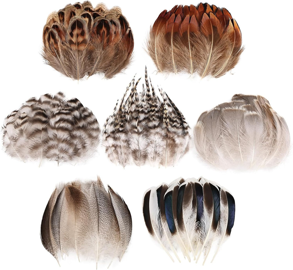 210Pcs 7 Styles Natural Bulk Feathers Assorted Mixed Feathers for DIY Crafts Dre