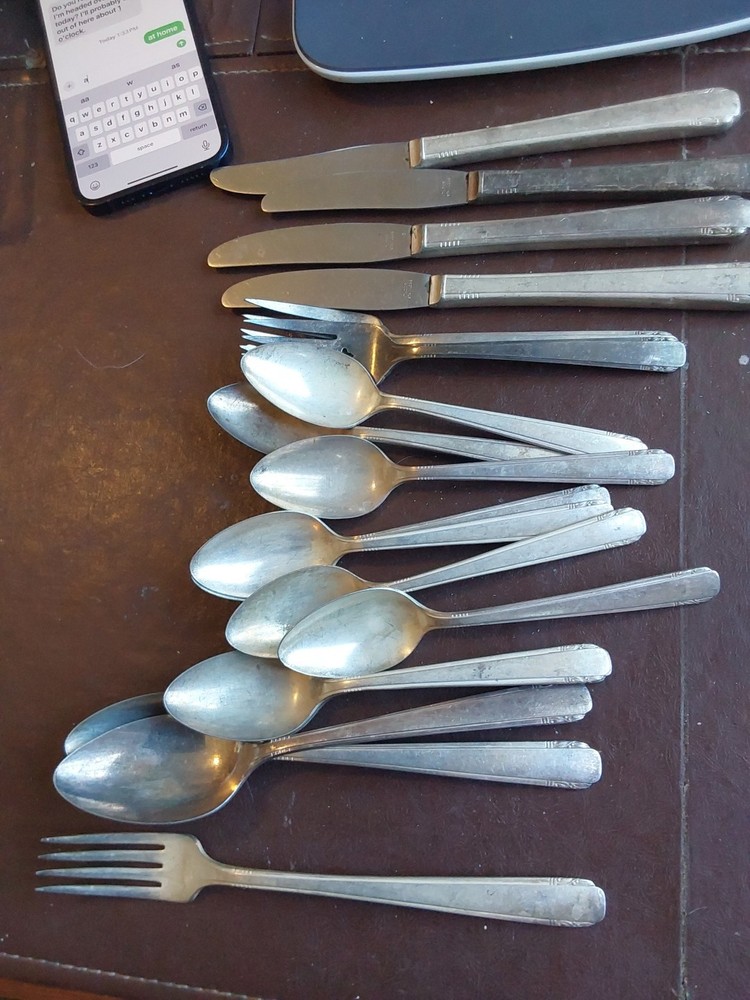 Oneida Communty Tudo Plate Flatware