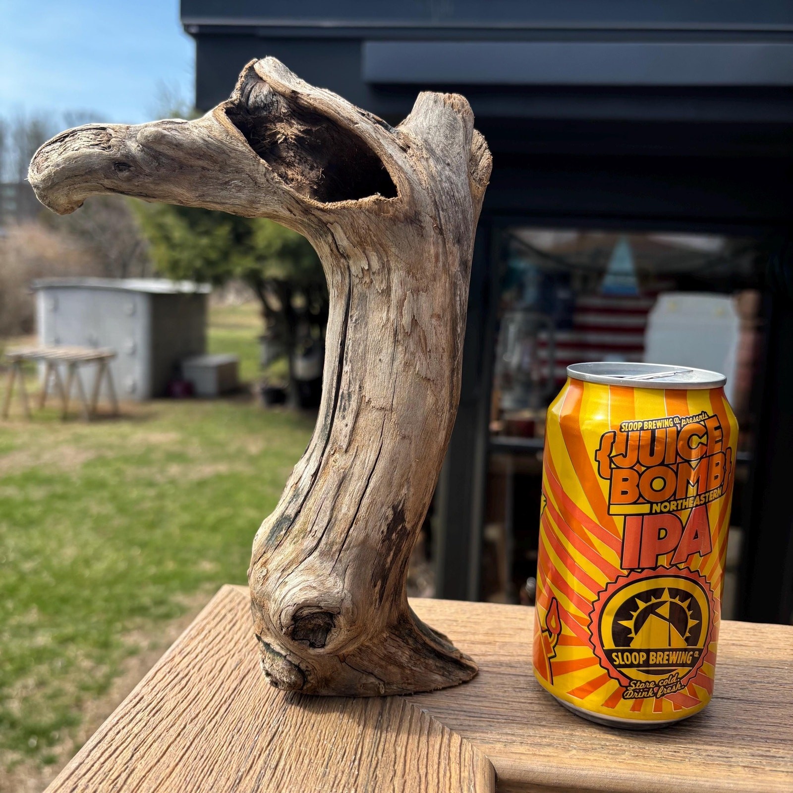 Small Tree Shaped Driftwood 9x3x7 – Sculptural Wood with Hollows Aquarium