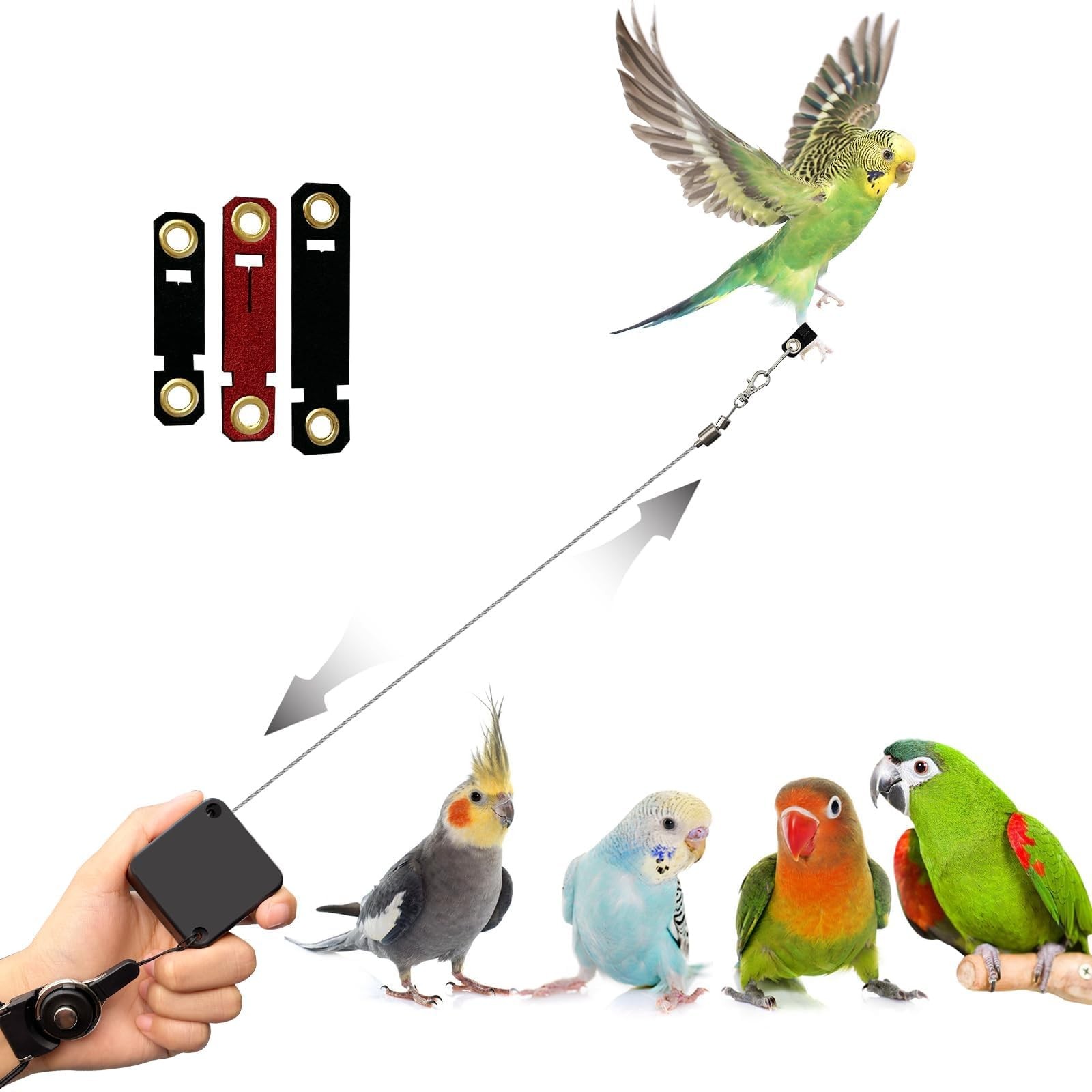 Bird Leash,Bird Harness,Retractable Anti-Bite Parrot Harness,with 3 Different...