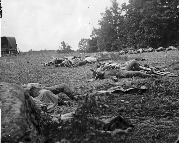 New 8x10 Civil War Photo: Dead at Rose Woods after the Battle of Gettysburg