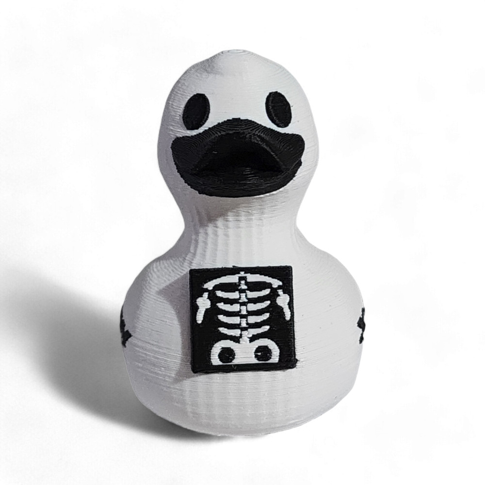 X-Ray Tech Duck
