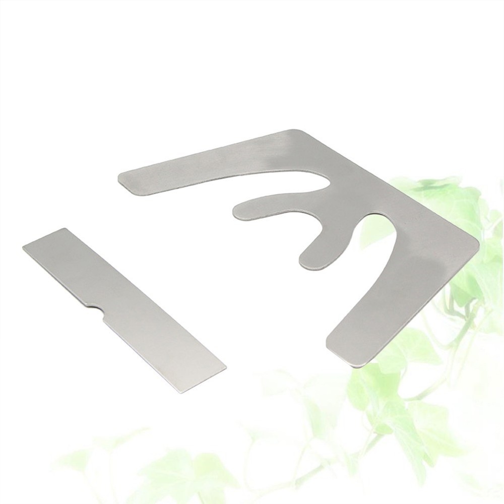 2 Pcs Stainless Steel Plate Fox Plane