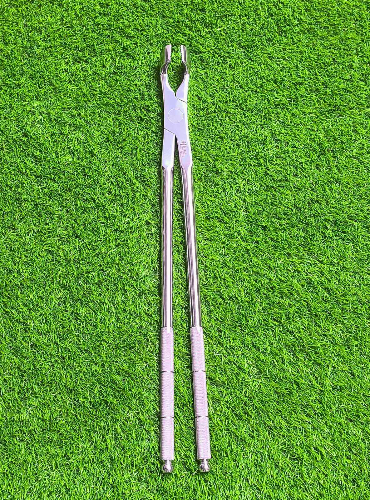 Molar Equine Dental Forceps 21"