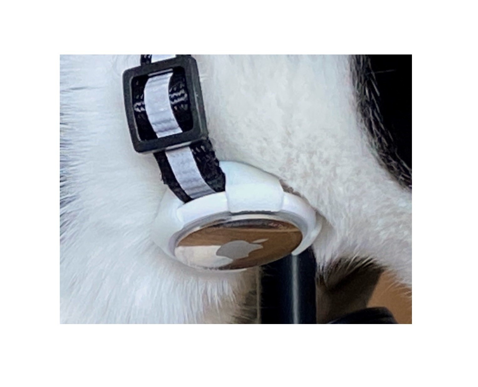 2-Set AirTag Holder for Collar, 3/8" & 5/8". Cat Dog Kitten Puppy! YUMPY SNAP!