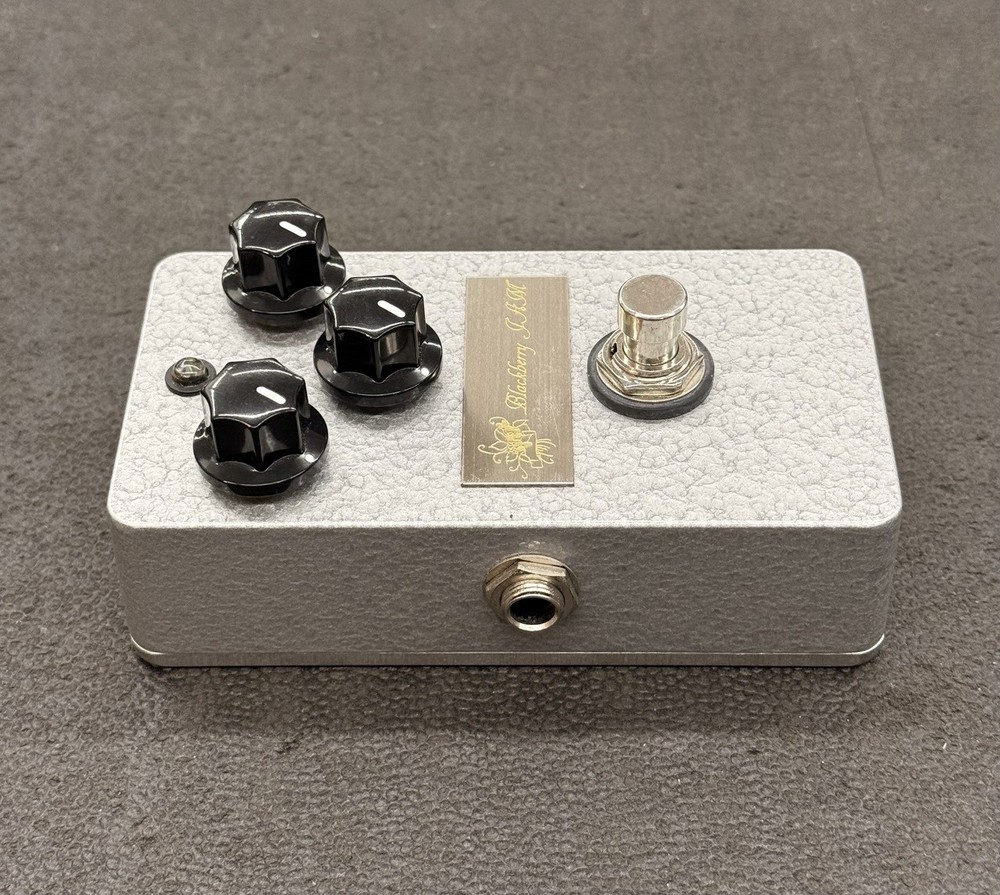 Blackberry JAM Silver Berry Used Overdrive