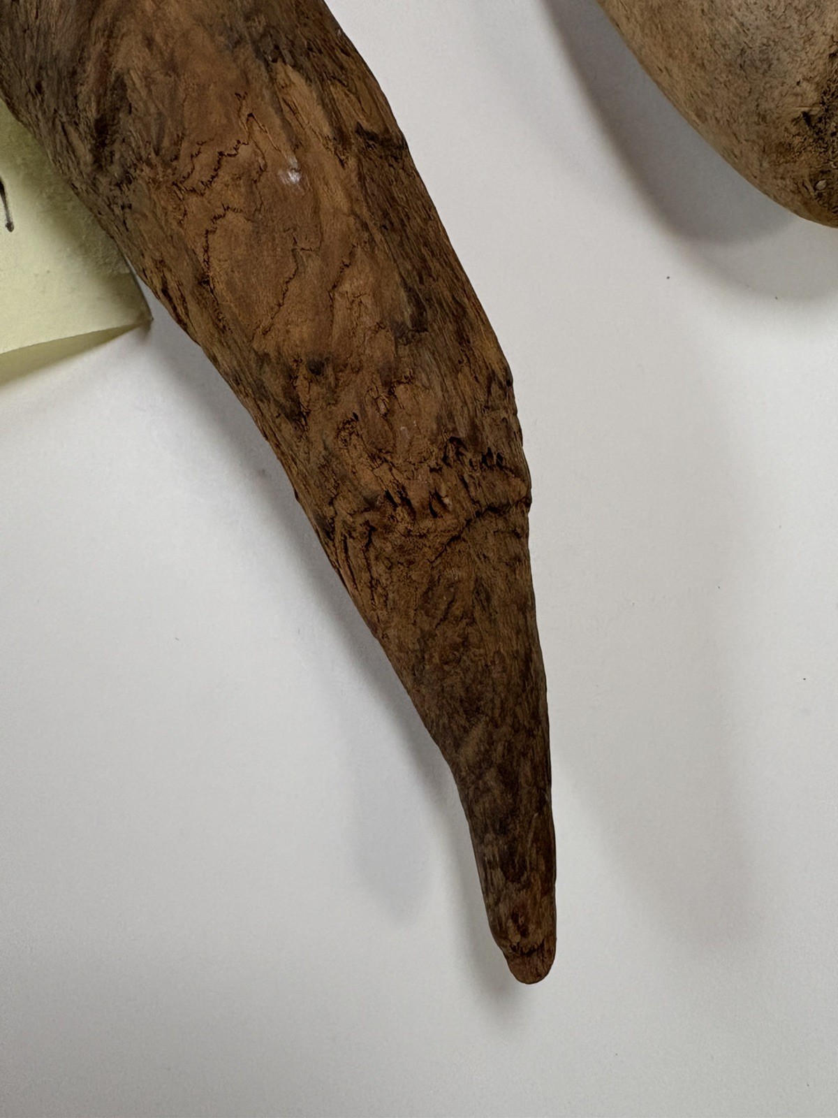 Native American Wooden Tools ? Digging and Planting ? Wood Artifact Antique