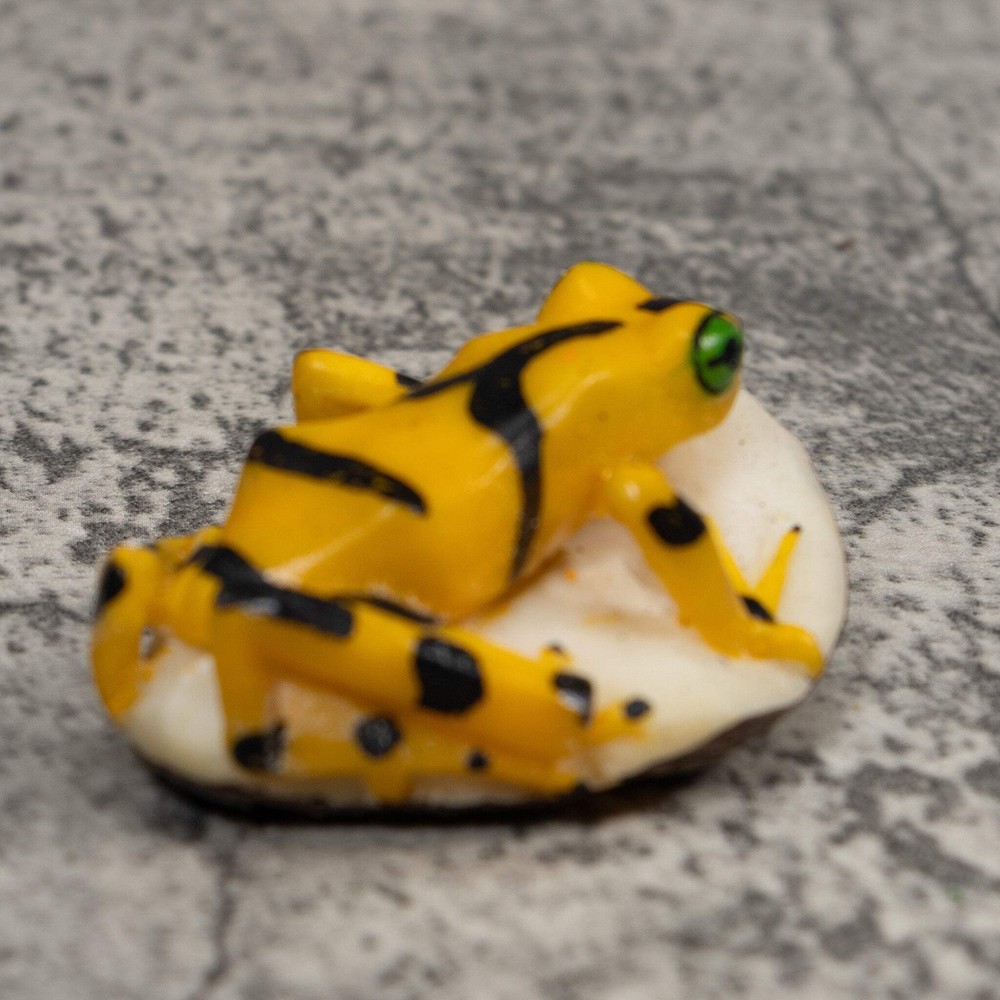 Golden Frog Tagua Carving