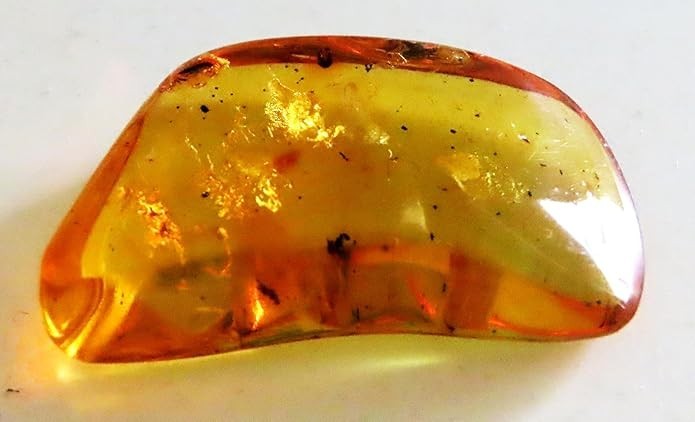 Natural Copal Amber with Insects Inside 5g Inclusion Specimen