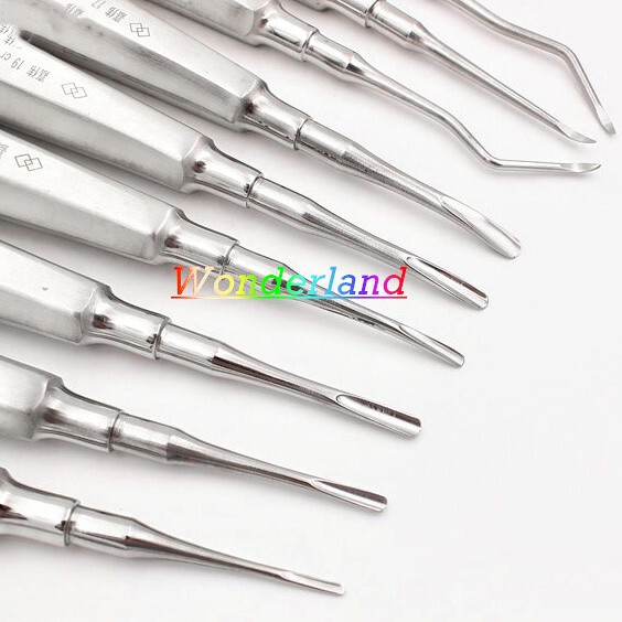 1x Dental Tooth Luxating Elevators Elevator Apical Root Tip Extraction Tools