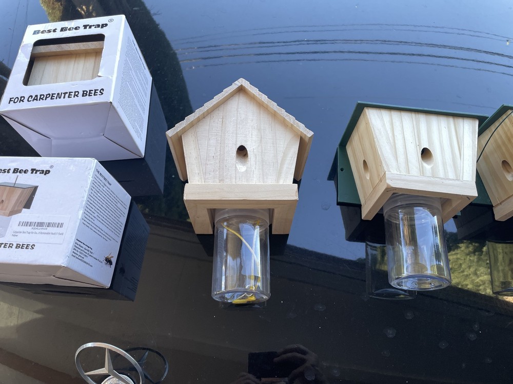 "Best Bee Trap" carpenters bee trap