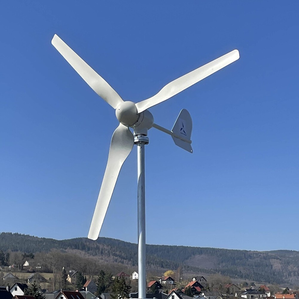 1000W 12V 24V Wind Turbine Horizontal Wind Power Generator With MPPT Controller