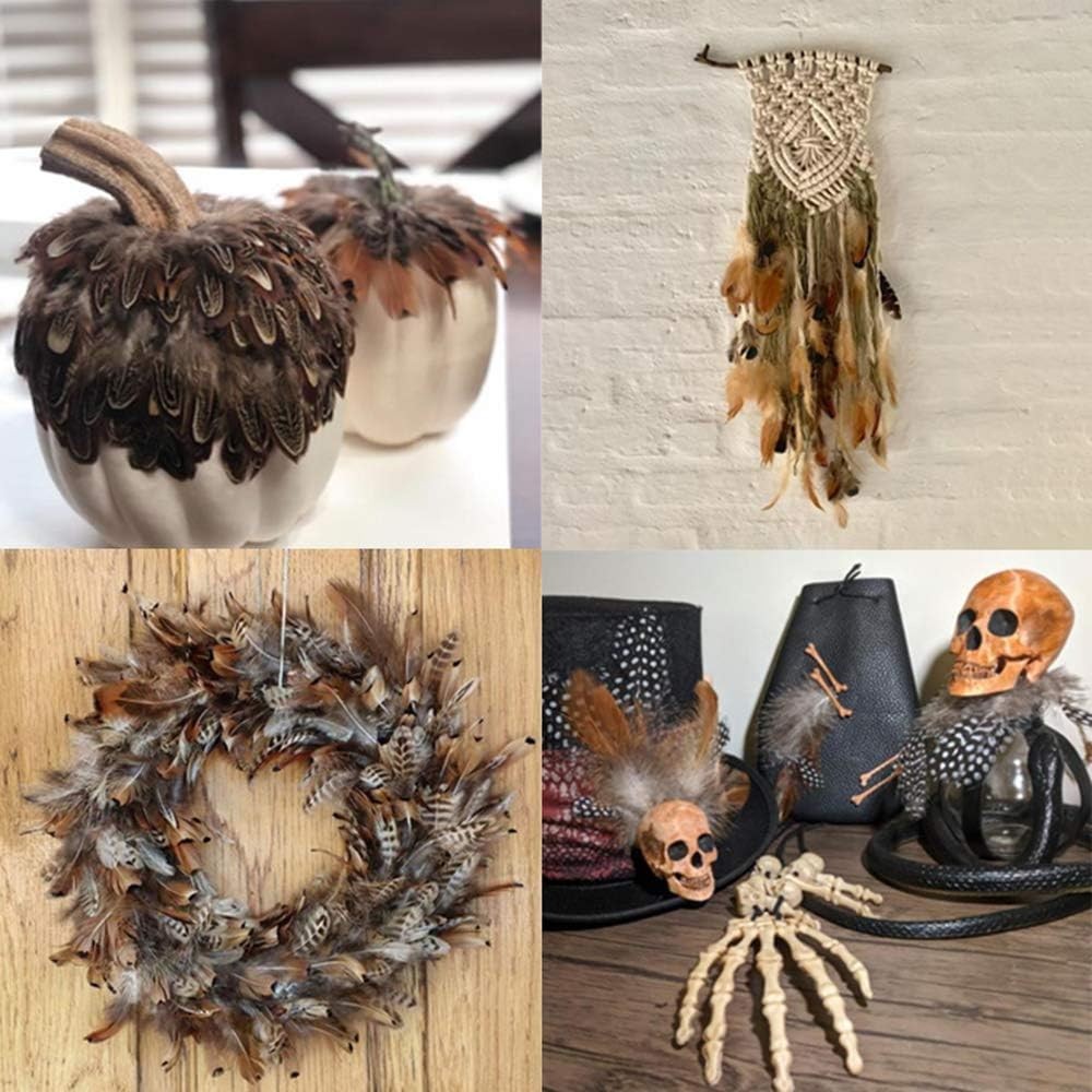 180pcs 9 Styled Natural Feathers Assorted Mixed for 9Styles/180Pcs