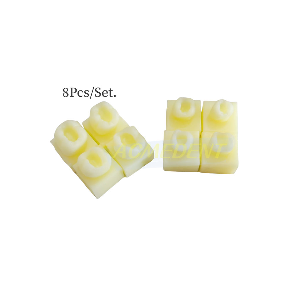 Dental Caries Decay Teeth Model Tooth Simulate Class Ⅱ Resin Restore Template