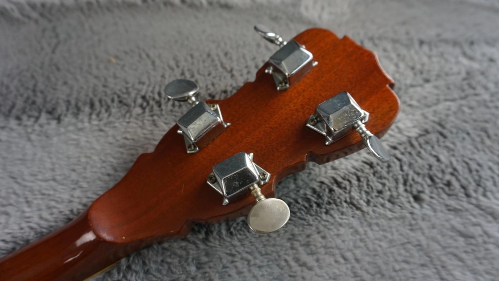 Pirles 5-String Closed Back Banjo w/ Hard Case