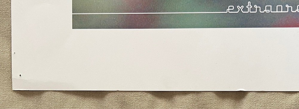 Fiona Apple - Extraordinary Machine RARE promo poster print '05