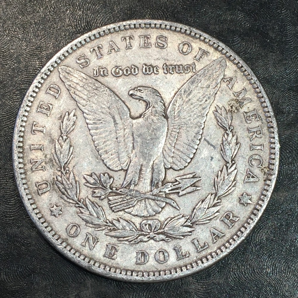 1891 Morgan Dollar - High Quality Scans #Q690