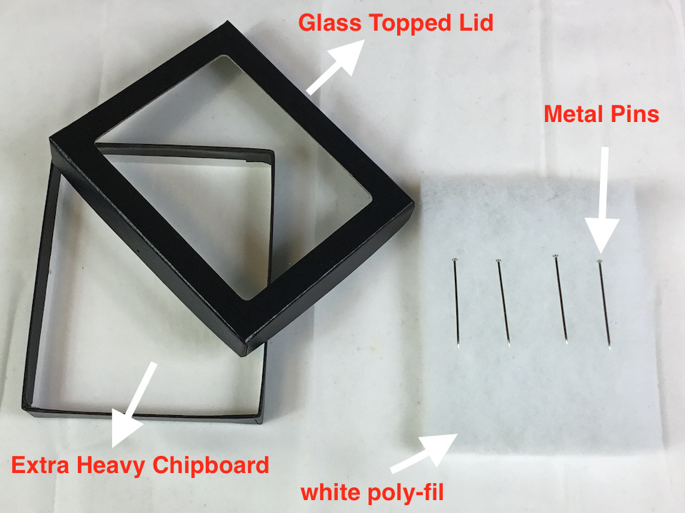 12 Pack of 8 x 14 x 1 Riker Display Cases Boxes with Black Carrying Case