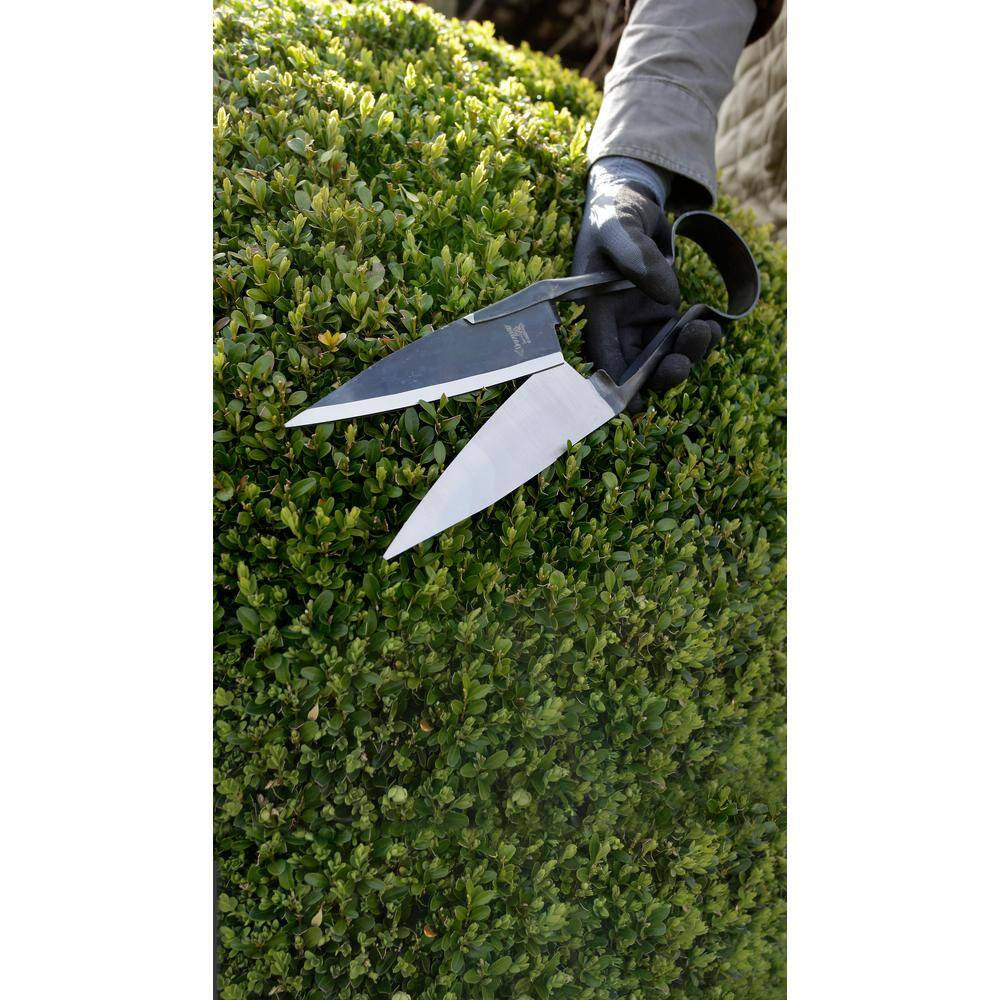 Sheep Shear, Round, 5.5 In. Blade Cutting Length