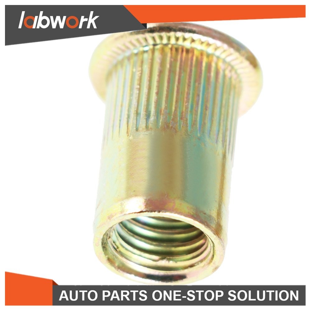 Labwork Rivet Nut Gun Kit Rivnut Tool Setter Thread Setting Nutsert Tool 900 Pcs