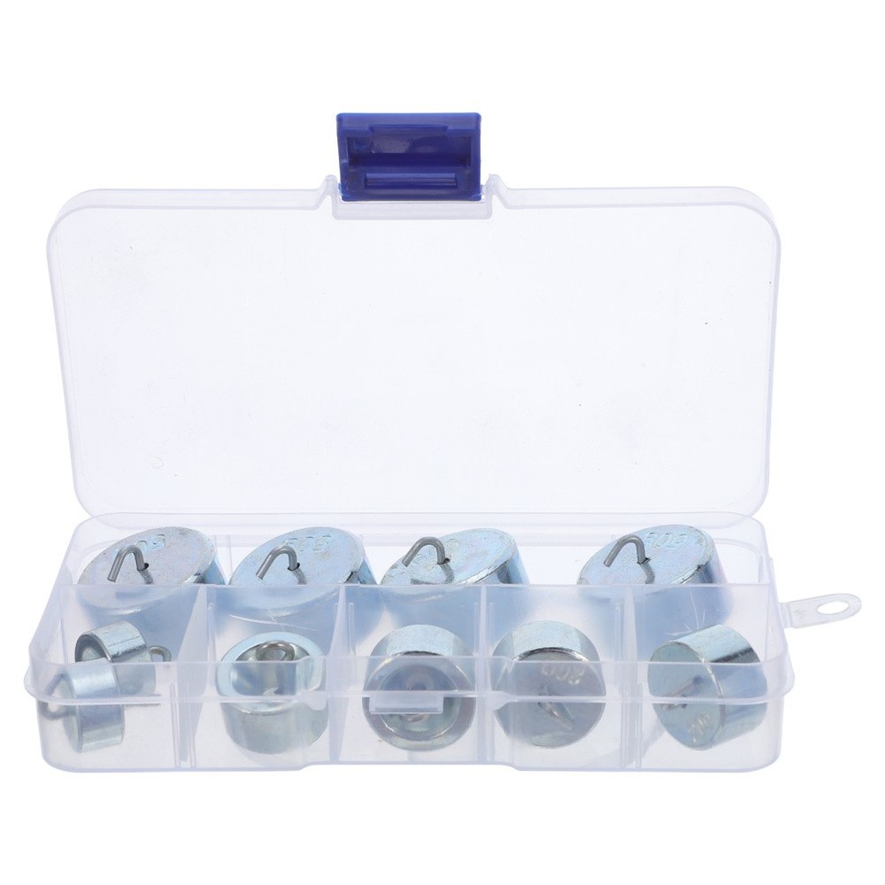 1 Set Hooked Calibration Weights: Total 300g Scale Calibration Weight- Physics