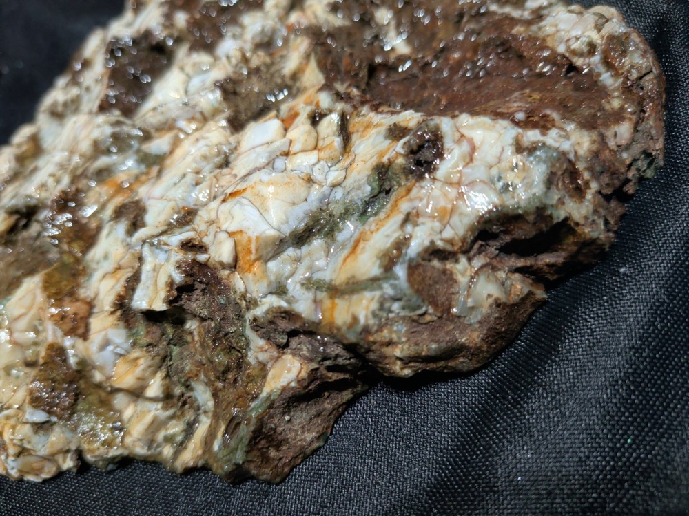Hampton Butte Slab Specimen (1lb 8oz)