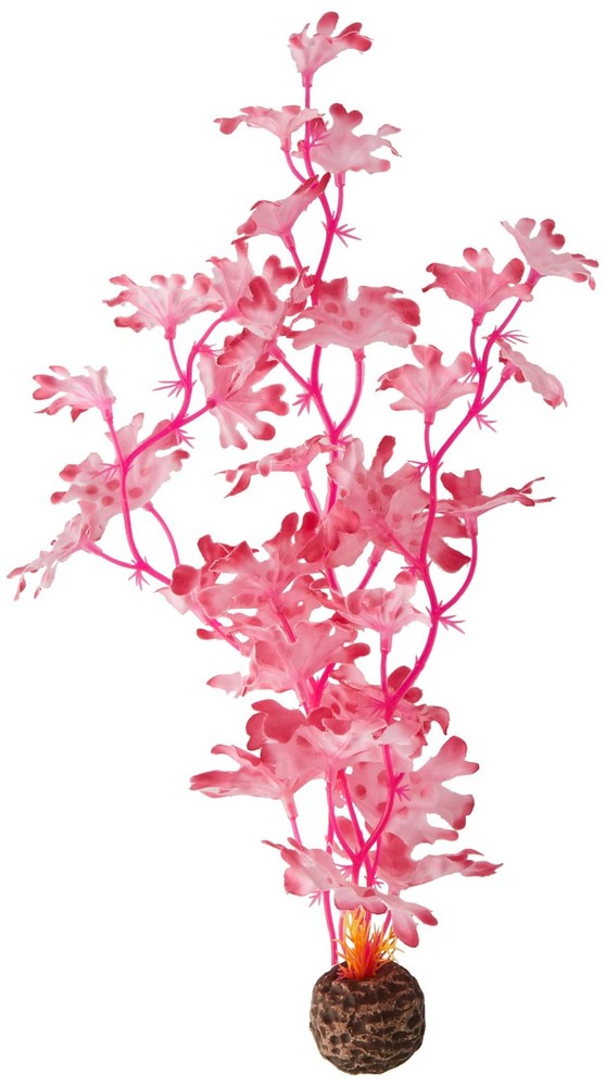 46082.0 Kelp Set Medium Pink Aquariums