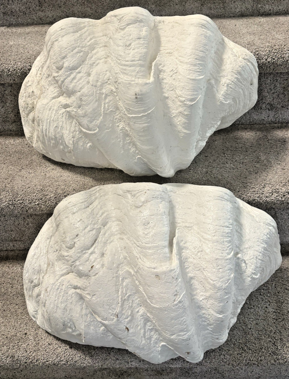 Giant man made clam shell 21.5" x 14" Great Party Decoration