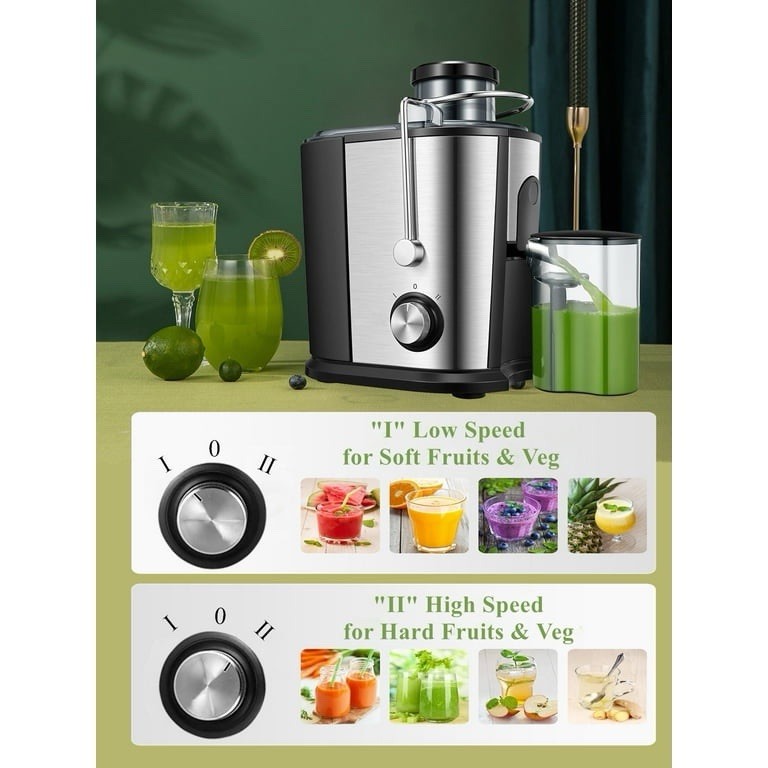 Juilist Juice Extractor Model GS-336 (B13, R2, 2)