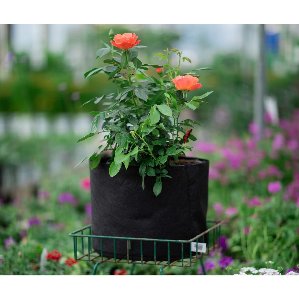 1-Gallon Smart Pot Soft-Sided Container, Black