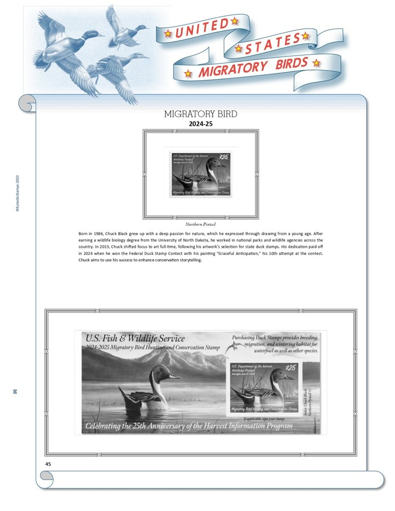 U.S. Federal Duck Stamp Supplement 2024 NO JR. (White Ace Alternative)