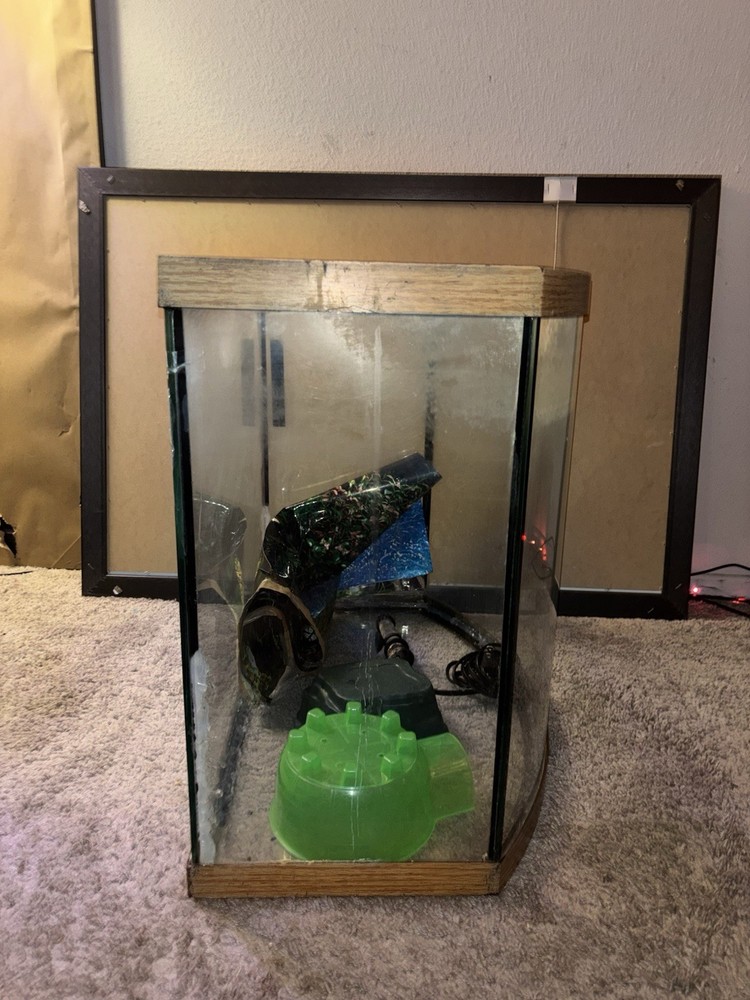 36 Gallon Fish Tank + Decor! (PLEASE READ DESCRIPTION!)