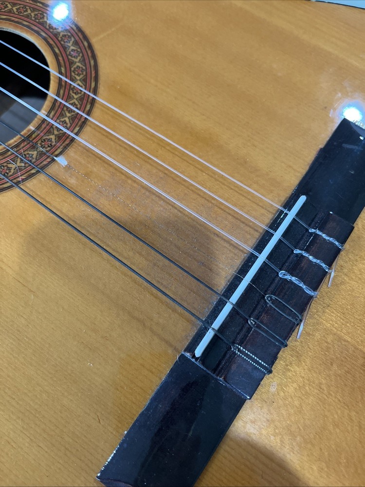 ariana guitar 570